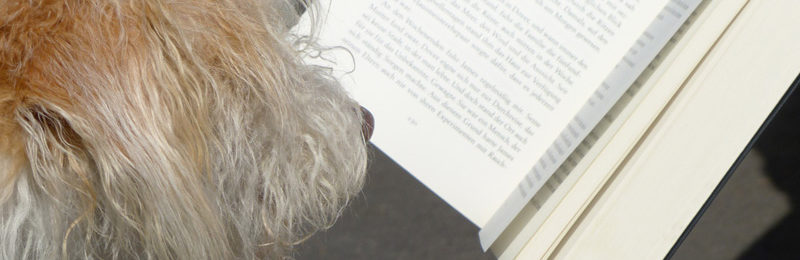 Do you read English books? Do you read English books?